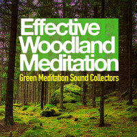 Green Meditation Sound Collectors - Effective Woodland Meditation