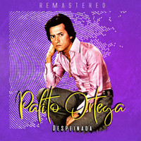 Palito Ortega - Despeinada (Remastered)