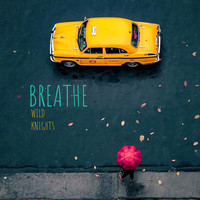 Wildknights / - Breathe