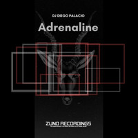 DJ Diego Palacio - Adrenaline