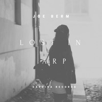 Joe Berm - Lost in Arp