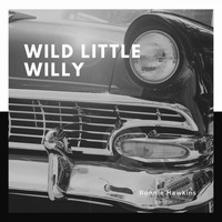 Ronnie Hawkins - Wild Little Willy