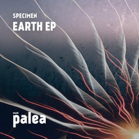 Specimen - Earth