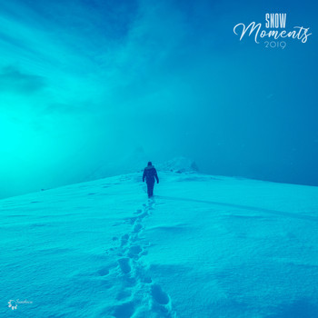 Various Artists - Snow Moments 2019