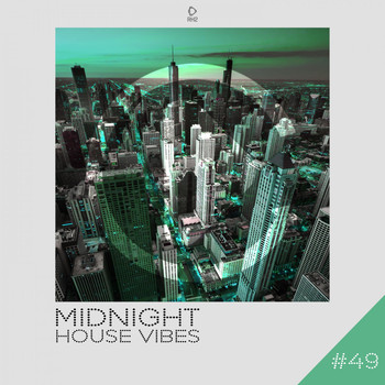 Various Artists - Midnight House Vibes, Vol. 49