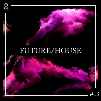 Various Artists - Future/House #13