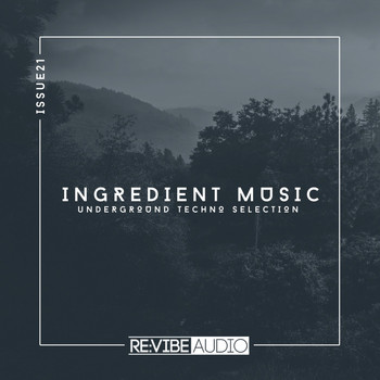 Various Artists - Ingredient Music, Vol. 21