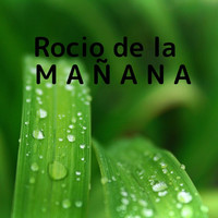 Fingering / - Rocio de la Mañana