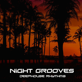 Various Artists - Night Grooves (Deephouse Rhythms)