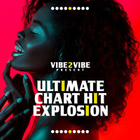 Vibe2Vibe - Ultimate Chart Hit Explosion (Explicit)