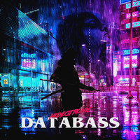 Hideotronic / - DataBass
