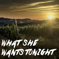KPH / - What She Wants Tonight (Instrumental)