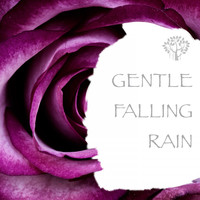 Natural Spirit & Thunderstorms - Gentle Falling Raing