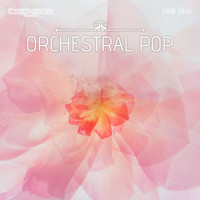 Roberto Conrado - Orchestral Pop