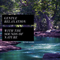Nature Sound - Gentle Relaxation with the Sounds of Nature