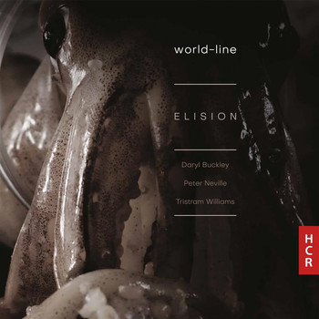Elision Ensemble - world-line
