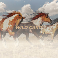 Tex Williams - Wild Card