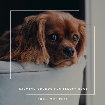 Dog Chill Out Music - Calming Sounds For Sleepy Dogs - Chill Out Pets
