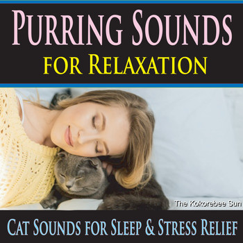 The Kokorebee Sun - Purring Sounds for Relaxation (Cat Sounds for Sleep & Stress Relief)