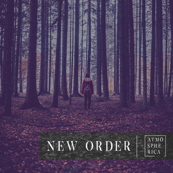 Various Artist - New Order