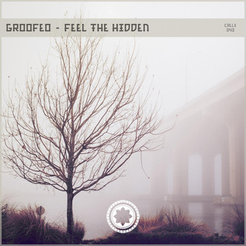 Groofeo - Feel The Hidden