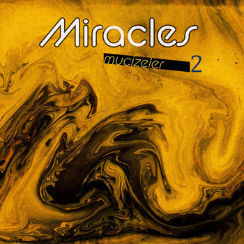 Çeşitli Sanatçılar - Miracles 2