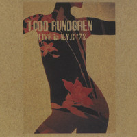 Todd Rundgren - Live in NYC '78