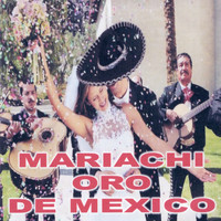Mariachi Oro De Mexico - Mariachi Oro de Mexico