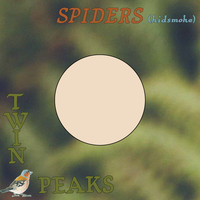 Twin Peaks - Spiders (Kidsmoke)