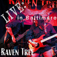 Raven Tree - Live at Orion Sound 2019!