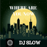 DJ Slow - Where Are You Know