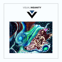 Visual Insanity - Luminary