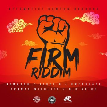 Various Artists - Firm Riddim