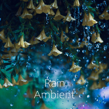 Rain Ambient - Smooth Relax Rain