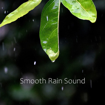 Smooth Rain Sound - Rainy Sleep Sound