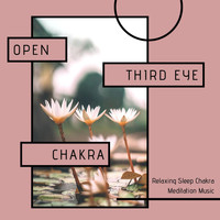 Wellness Guru - Open Third Eye Chakra: Relaxing Sleep Chakra Meditation Music