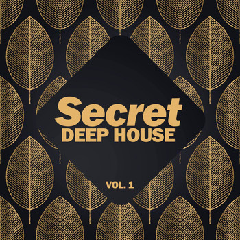 Various Artists - Secret Deep House, Vol. 1