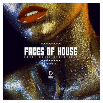 Various Artists - Faces of House, Vol. 17