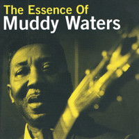 Muddy Waters - The Essence Of Muddy Waters