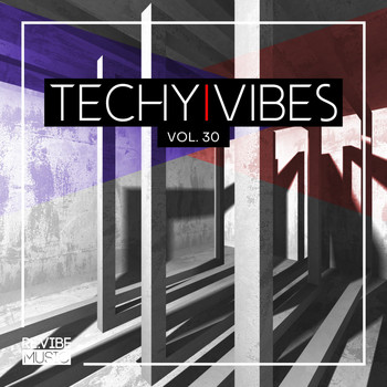Various Artists - Techy Vibes, Vol. 30 (Explicit)