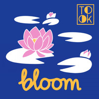 Took - Bloom