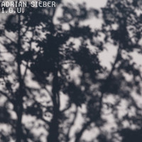 Adrian Sieber - I.O.U.