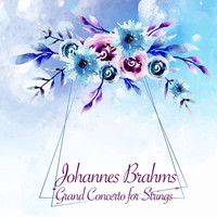 Johannes Brahms - Grand Concerto for Strings