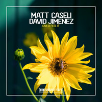 Matt Caseli & David Jimenez - Can U Feel It