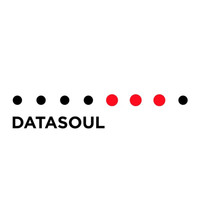 Datasoul - Digital Disorder