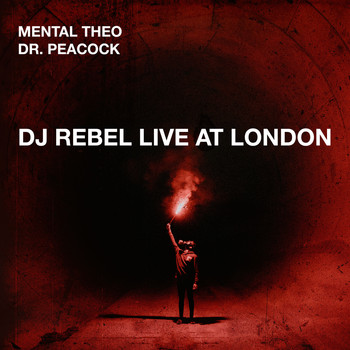 Mental Theo - DJ Rebel Live at London (Explicit)