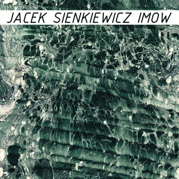 Jacek Sienkiewicz - IMOW