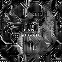 Fane / - Circuit