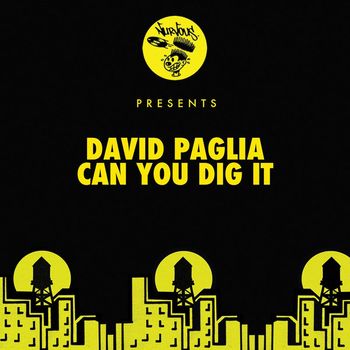 David Paglia - Can You Dig It