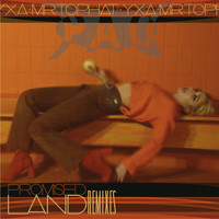 Pau - Promised Land (Remixes)